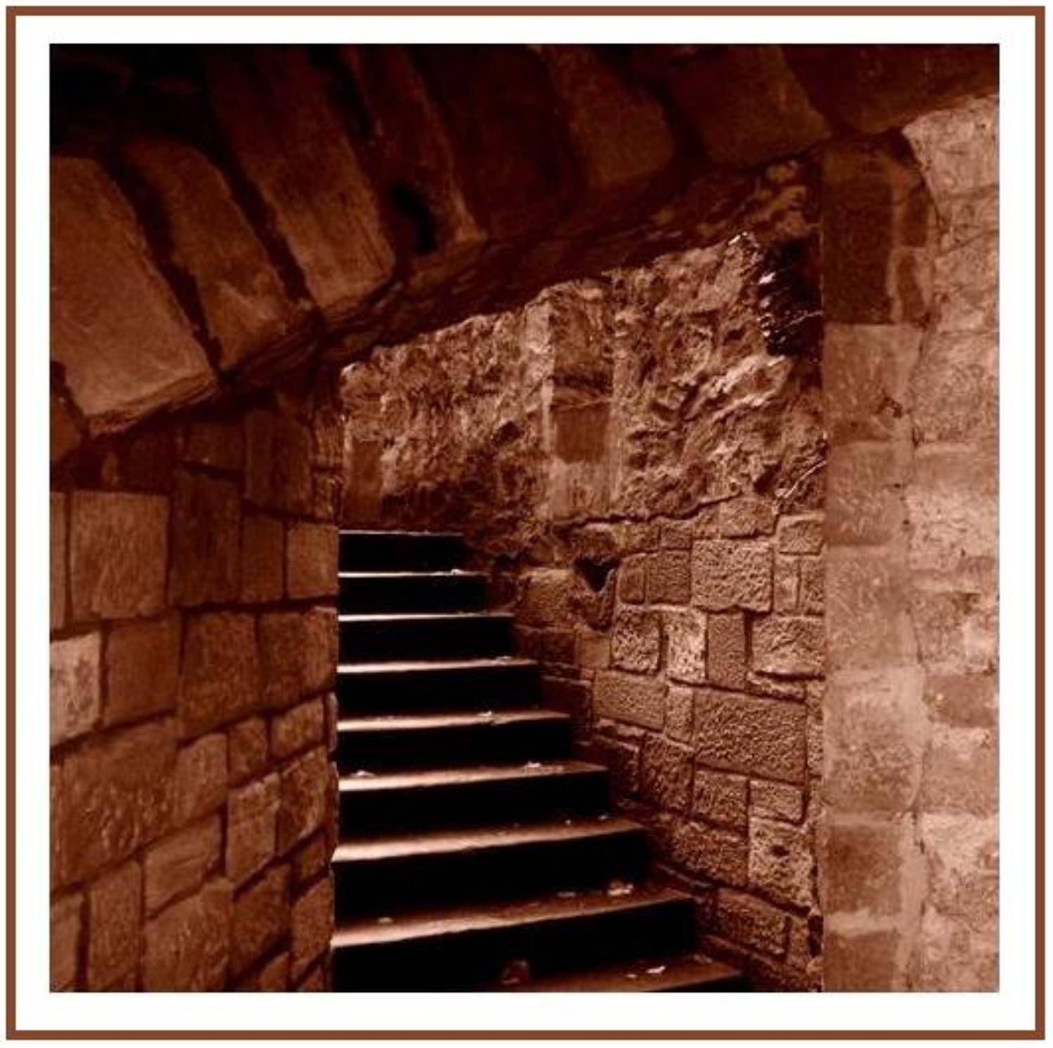 архитектура, August