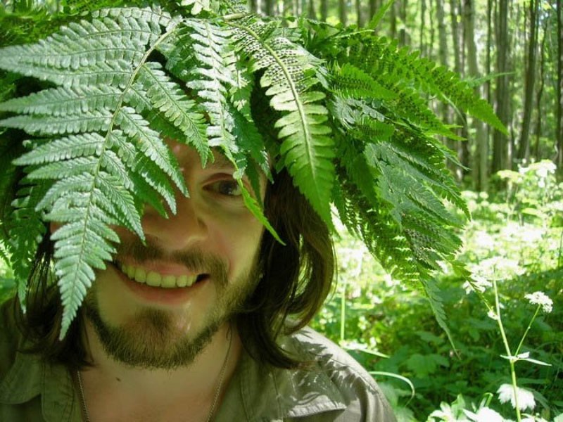 Чуд, в, венке, из, папоротника, в, летнем, лесу Лесной Дух фото превью