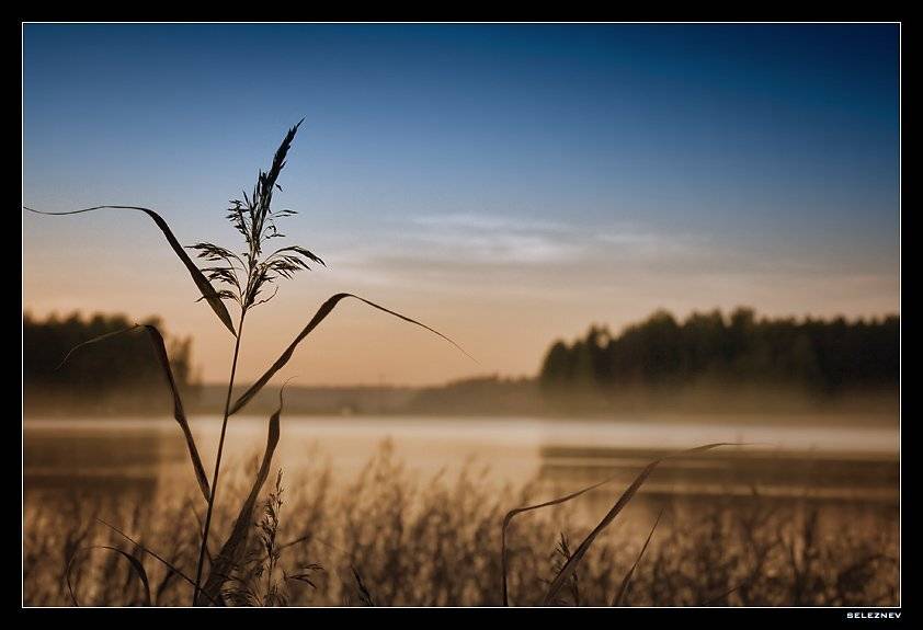 suomi, seleznev, seleznev