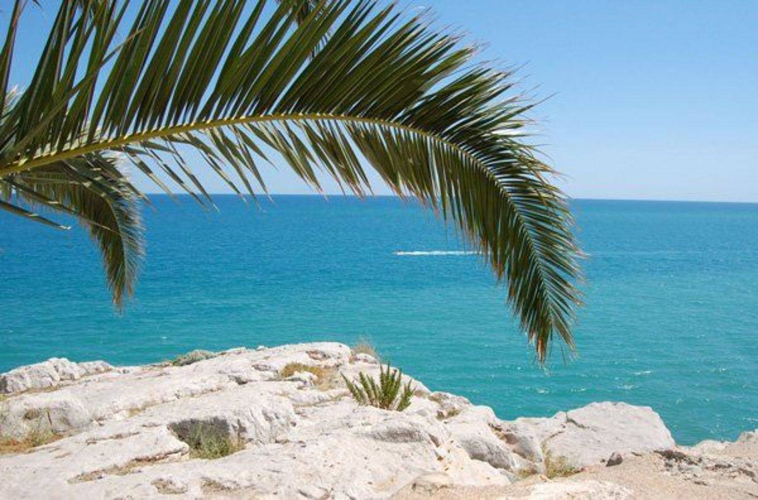 море, пальма, корабли, peniscola, spain, viuga