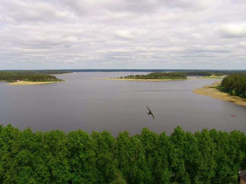 селигер, нилова пустынь, природа Родные просторы фото превью