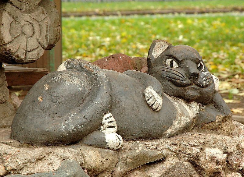 Кот фото превью