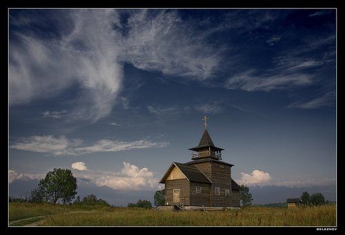 птица