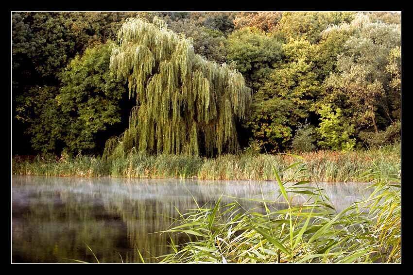 , Александр Батурский