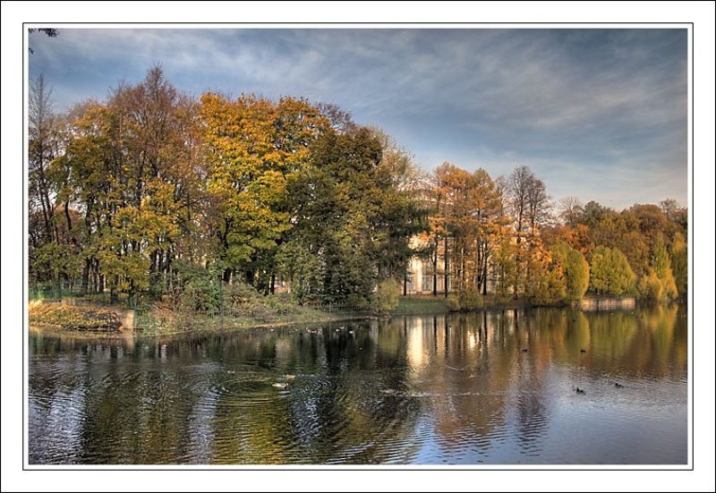 питер, осень, таврический сад Осеннее #2 (В Таврическом) фото превью