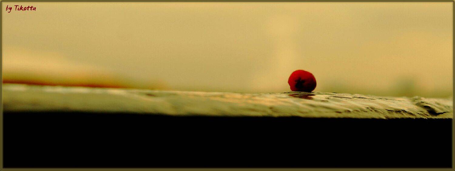 парапет, осень, Tikotta