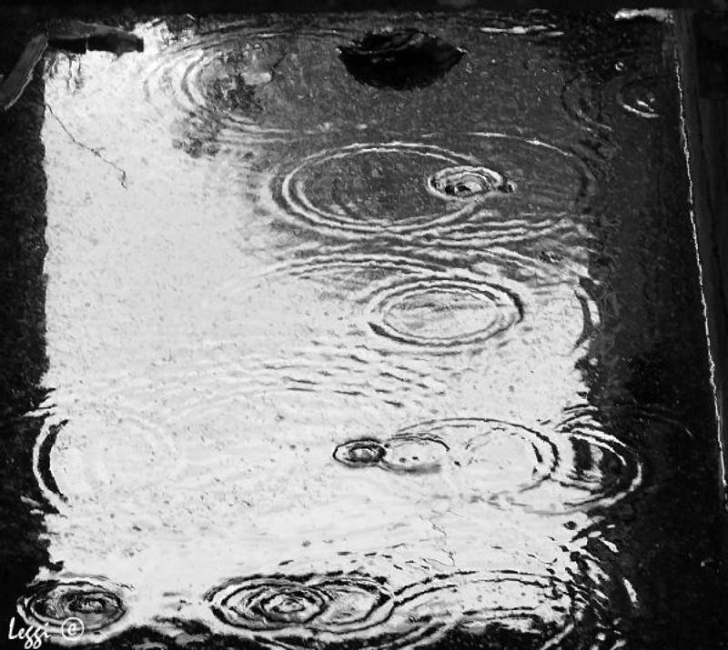 дождь, лужа, круги Дождь фото превью