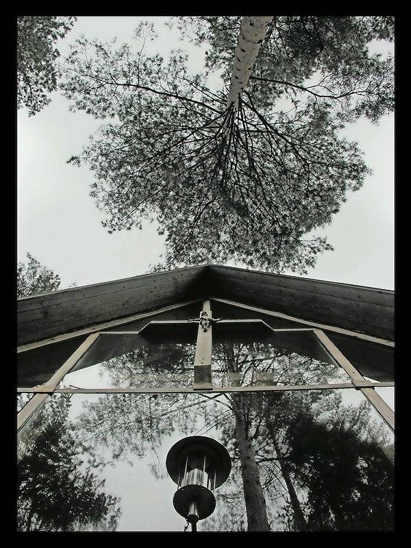 , Надежда Романова