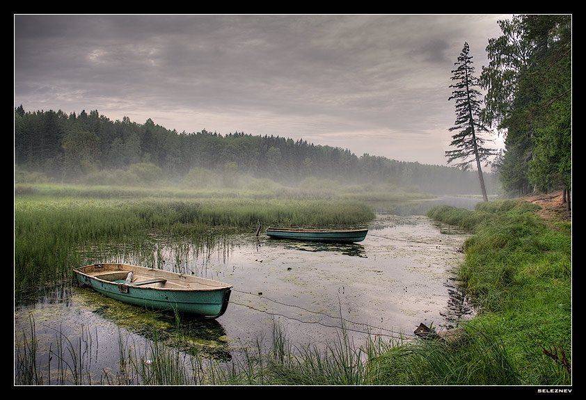 оредеж, seleznev, seleznev