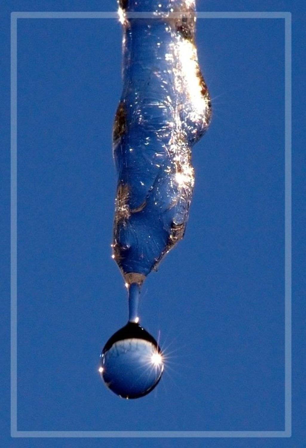 сосулька, капля, зима, Racoon