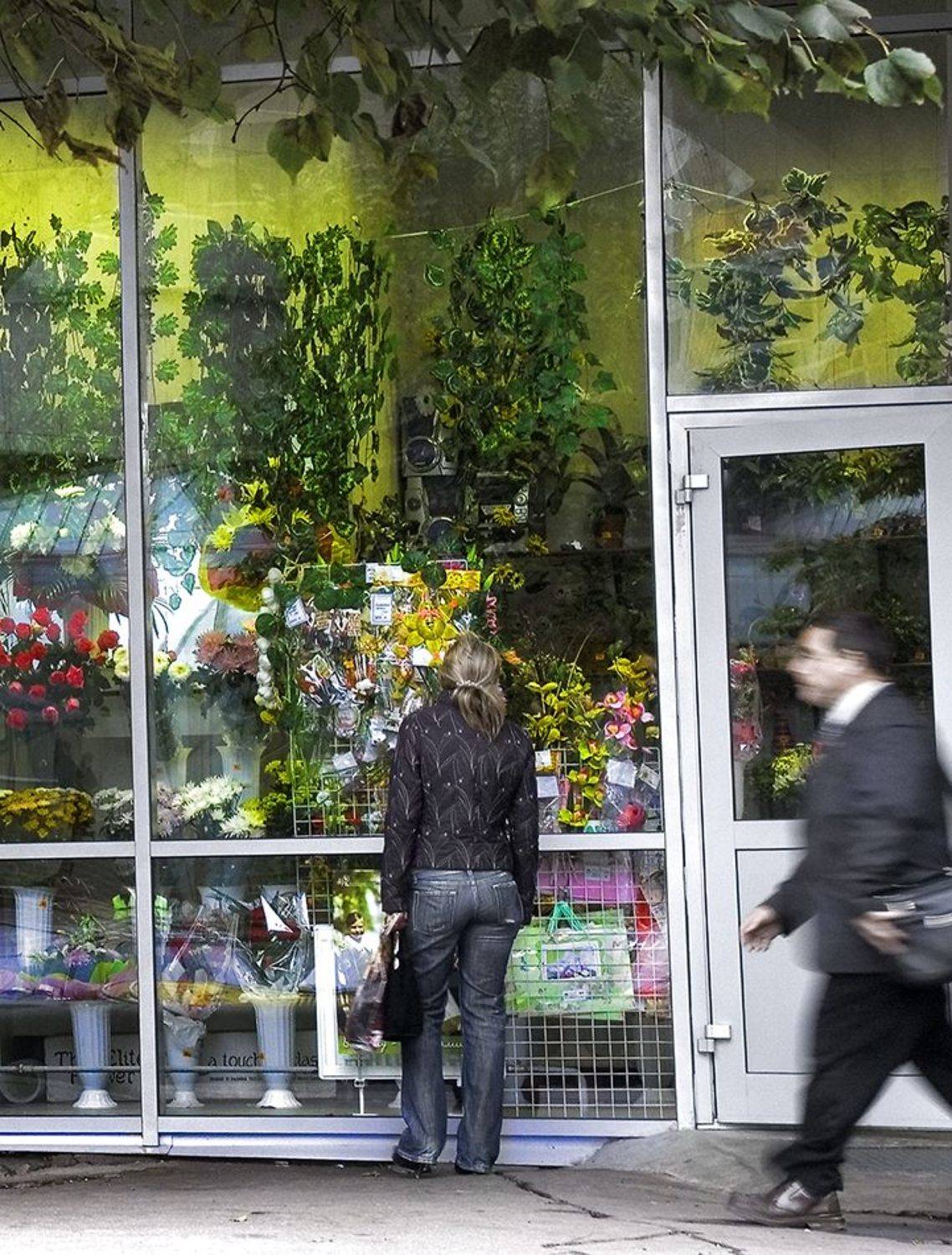 цветы, Д_Е_Наумов