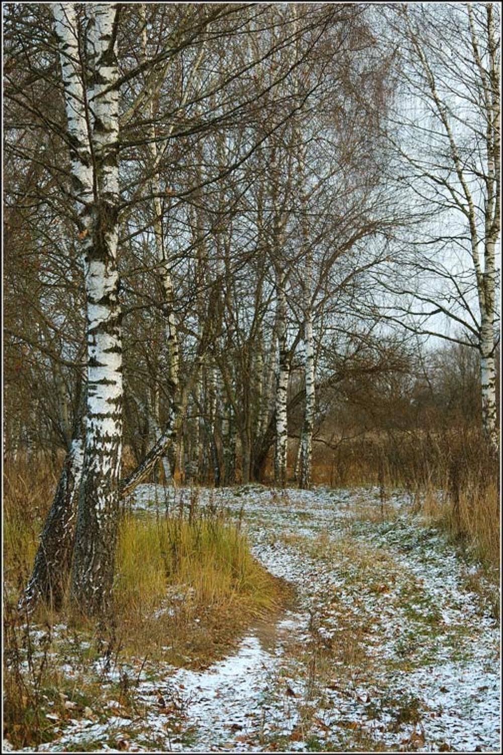 осень, хима, заморозки, очень, холодно, Капустин Николай