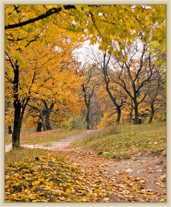 Золотая тропа и зиму фото превью