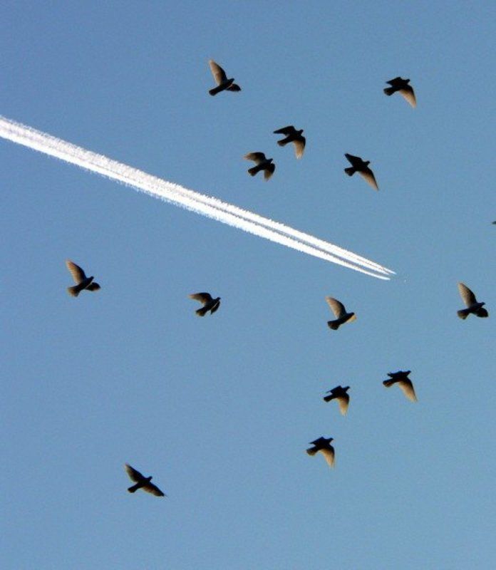 небо полёты фото превью