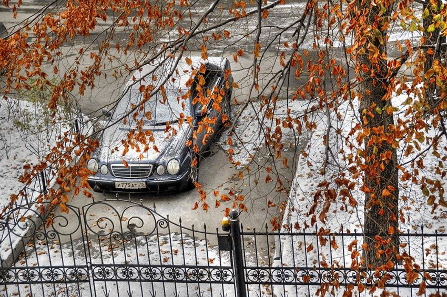 листва осень, Д_Е_Наумов