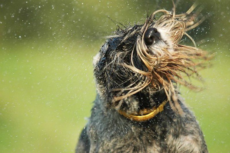 Брызги фото превью