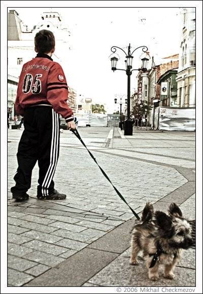 M_Chec, Samara, дети, собака, Михаил Чекмезов