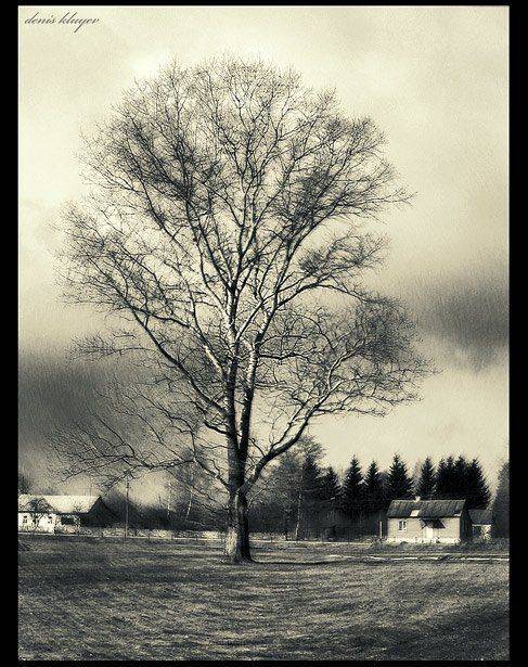 фото, путешествия, пейзаж, Тула, Денис Клюев, Денис Клюев