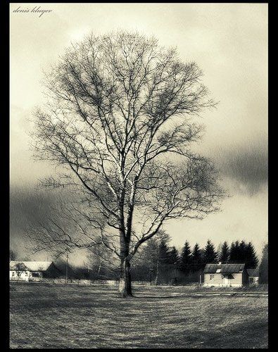 Как-то раз я был в Туле...