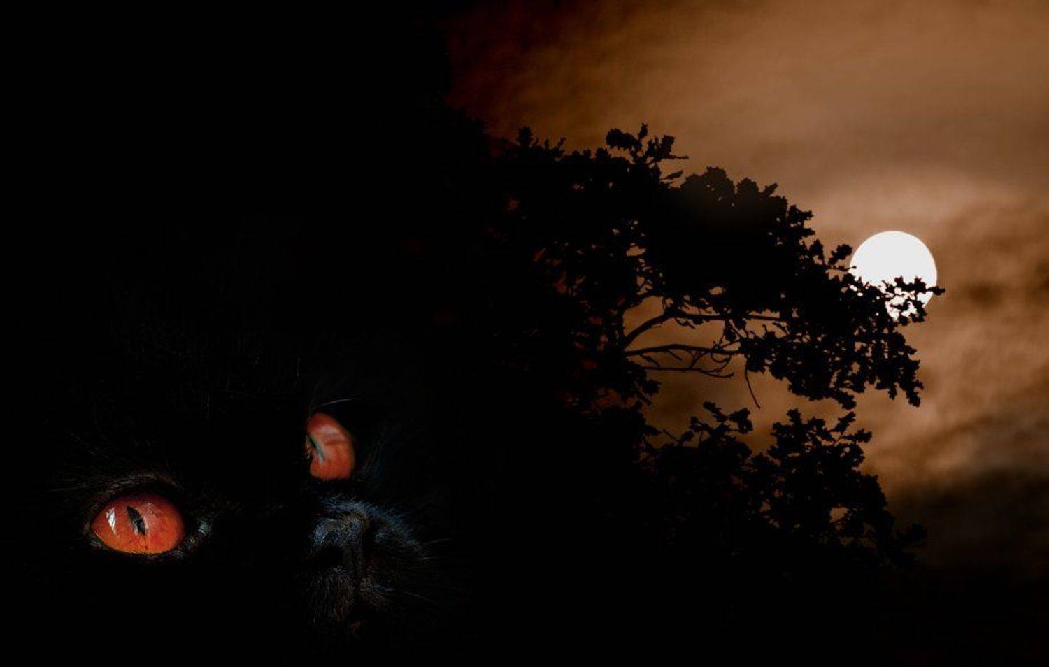 много, мяса, будет, растерзано, Капустин Николай