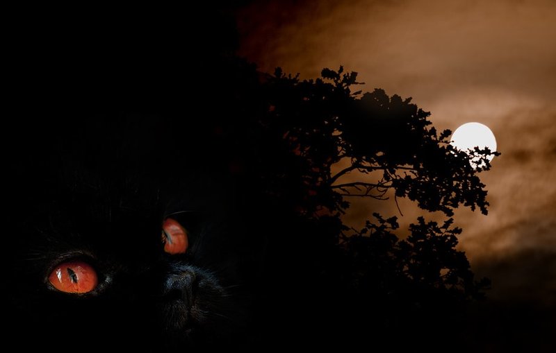 много, мяса, будет, растерзано Идет охота на... фото превью