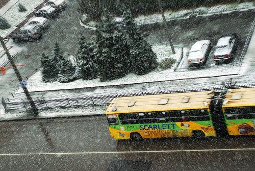 Первым зимним утром....