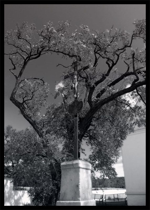 A Question of Faith фото превью