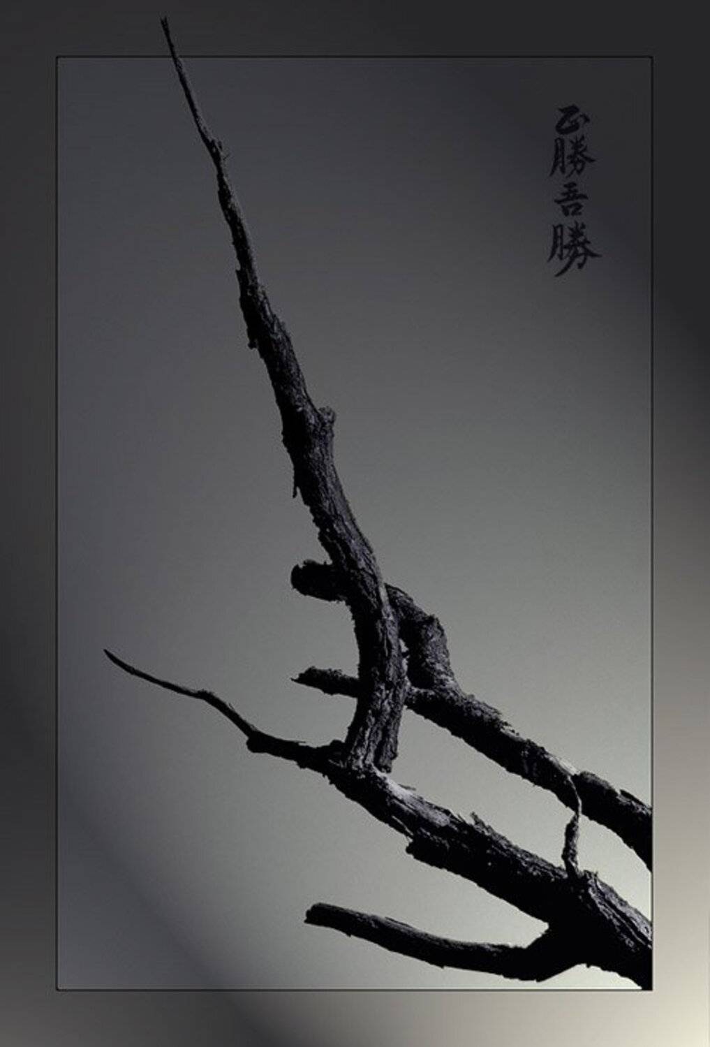 , Александр Батурский