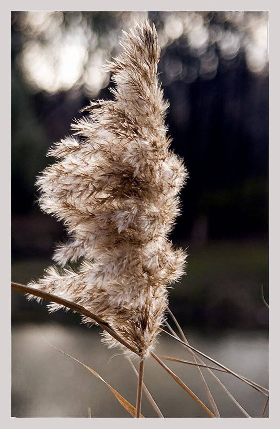 , Александр Батурский