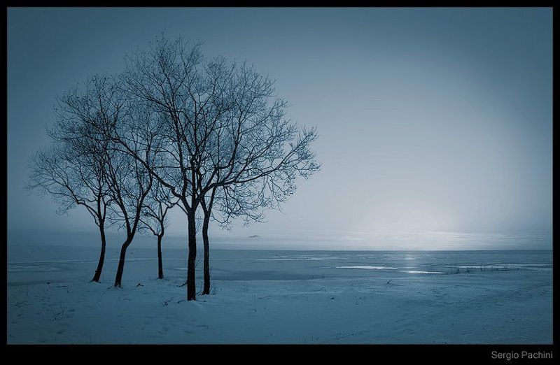 .Sergio Pachini. Winter фото превью