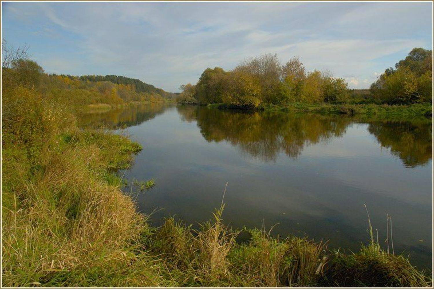 осень, сосны, лес, река, Капустин Николай