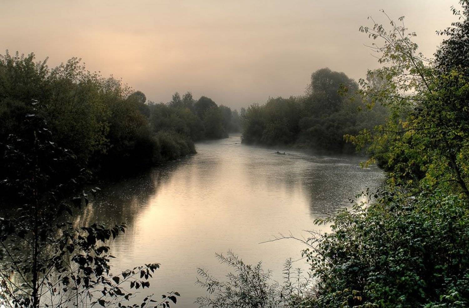 утро, река, Alex Sheptl