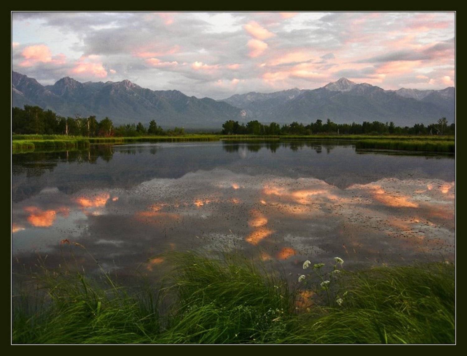 Баргузинская долина. Курумкан. Болотистый берег Баргузина. Старое цветущее озеро., Влад К