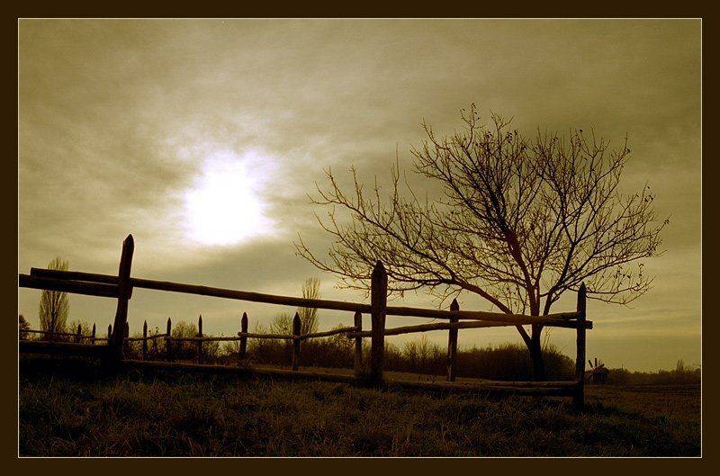 Пирогово, Alex Vasilenko