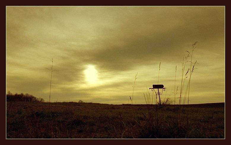 Пирогово, Alex Vasilenko