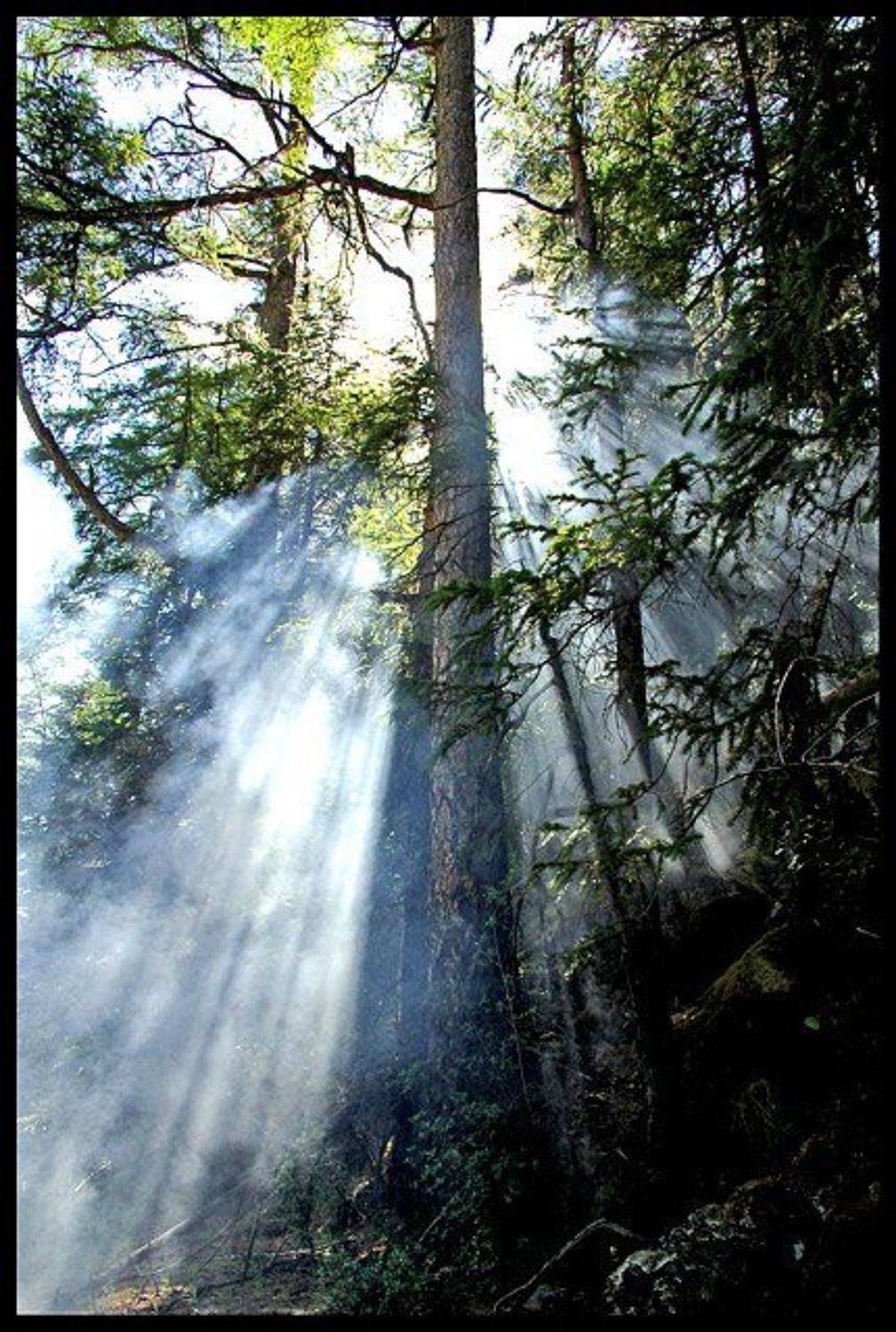 Якутия, Владимир