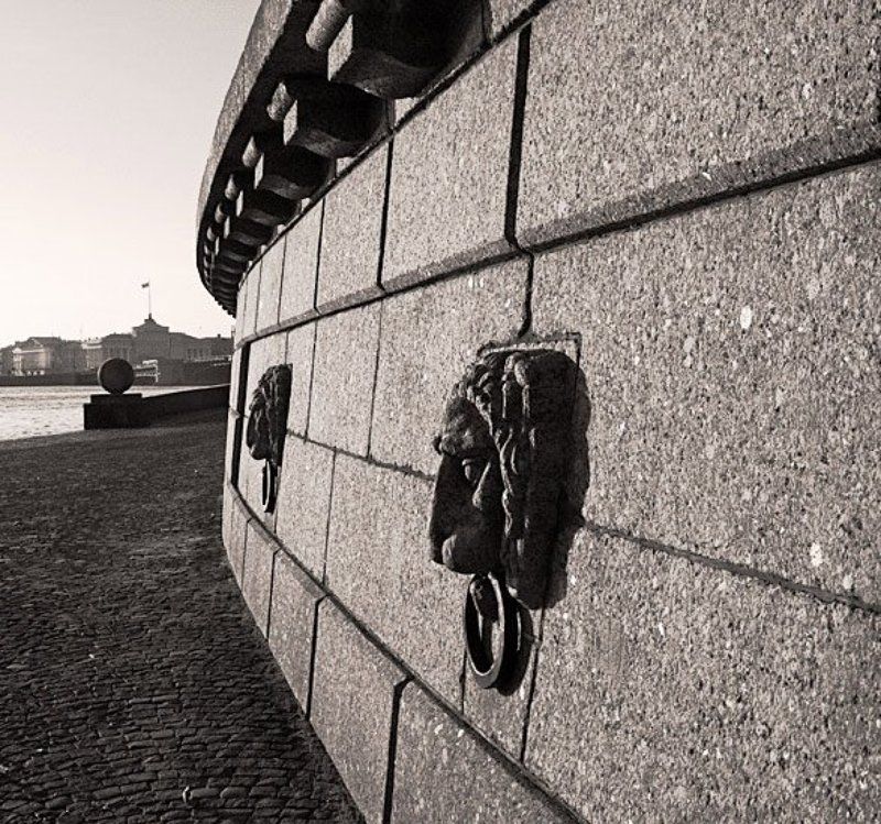 Львы, стрелка, ВО, встречают, рассвет Встречающие рассвет фото превью