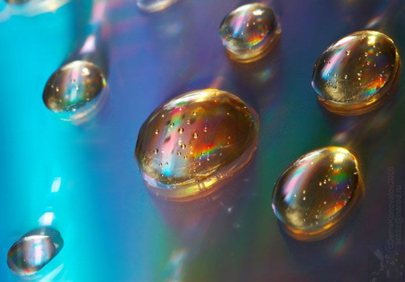 капли, дефракция, отражение Теория возникновения жизни фото превью