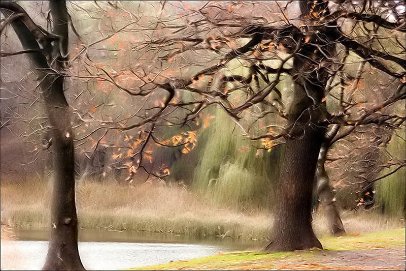 Скоро зима фото превью