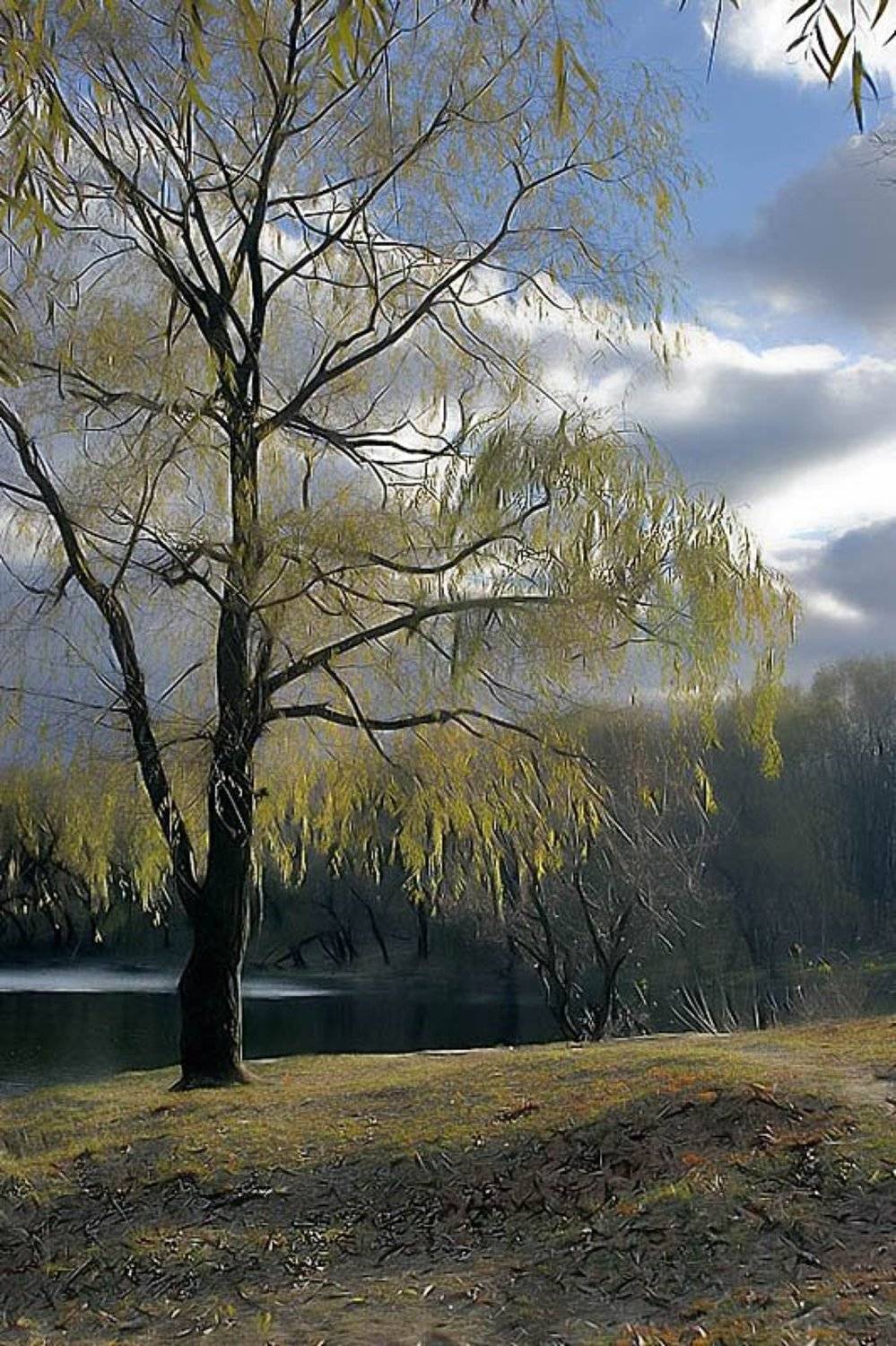 , Александр Батурский