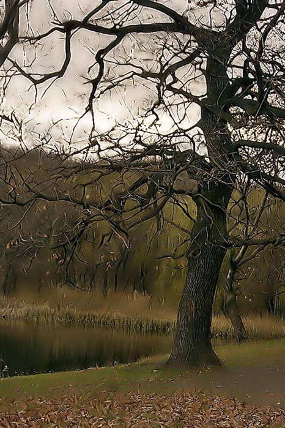 , Александр Батурский