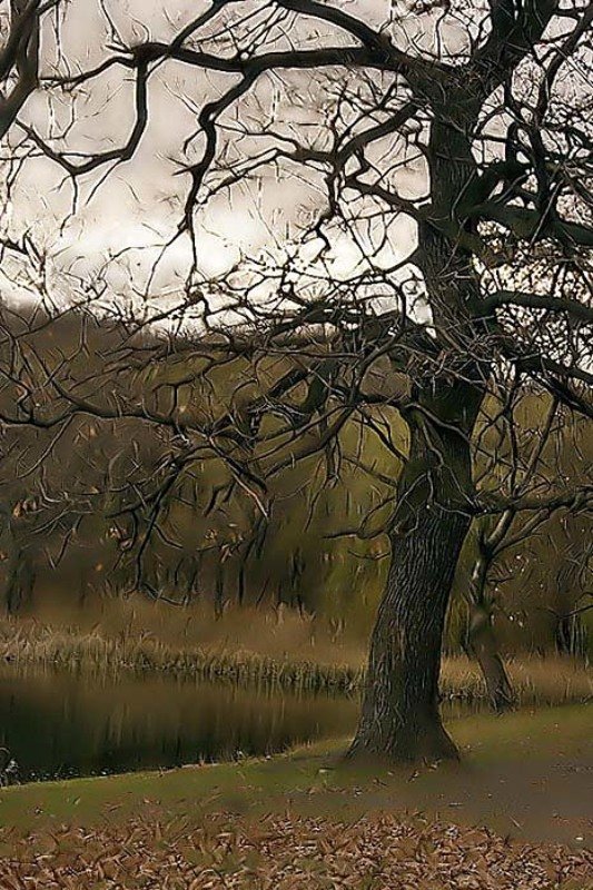 Осень фото превью