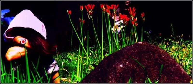 japan,nagoya YAMA фото превью