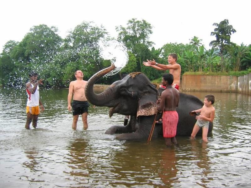 Гоа, Небо, Парень, Слон, Река На слоне фото превью