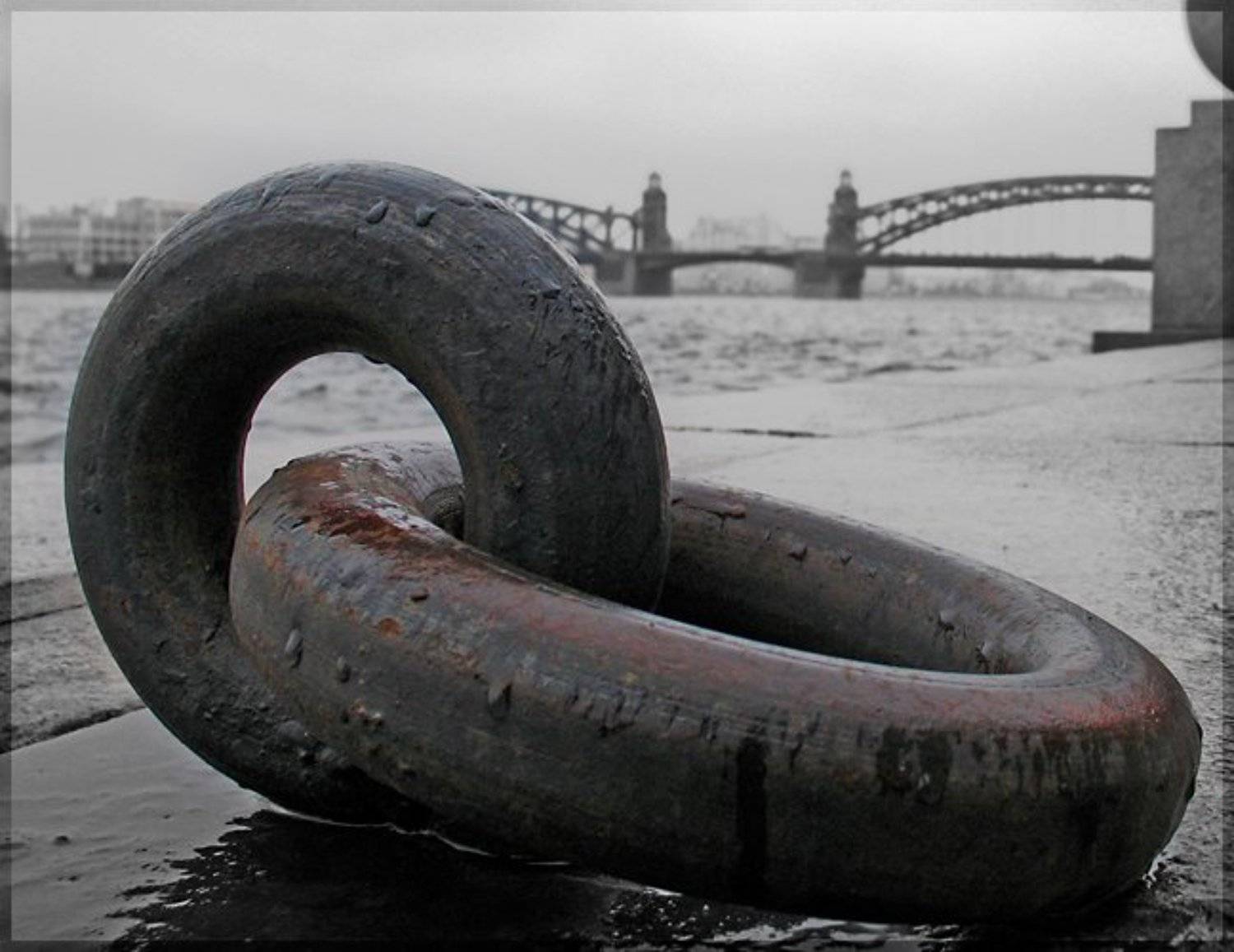 Петербург, Нева, Обручение, adamovitch