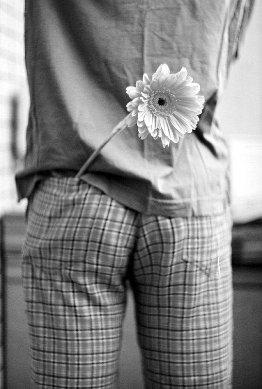 Ромашка фото превью