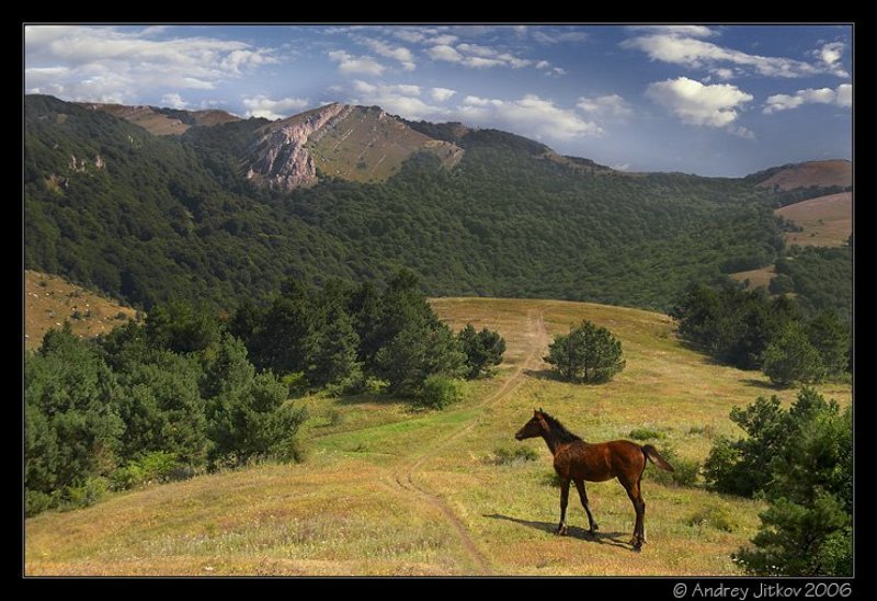крым, лето, горы, небо, лошадка, photohunter Летняя фантазия фото превью