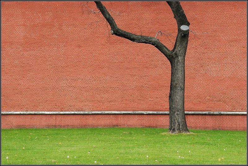 кремль, трещина, дерево, стена, красное, зеленое, трава, dyadyavasya Трещина фото превью