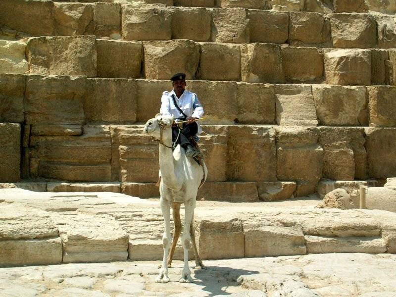 египет, пирамиды, полицейский на верблюде, senjor