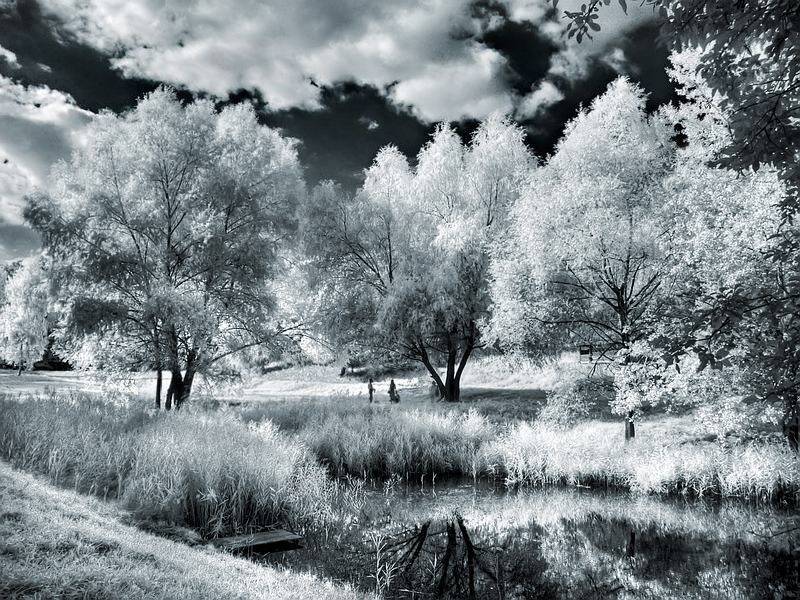 лето, ИК, пейзаж, Марк Пономаренко